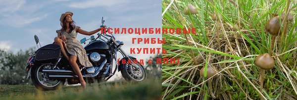 СК Абдулино